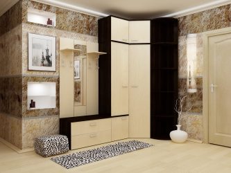 Вграден гардероб в коридора: 170+ Снимки на дизайн и идеи. Научете се как да организирате пространството