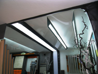سقف المرآة: يتميز بالحلول الداخلية (في الحمام ، غرفة المعيشة ، الرواق). النهاية الرائعة لإلقاء نظرة مثيرة.