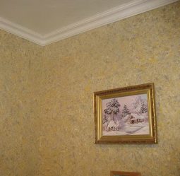 Papel de parede líquido no interior de salas comuns (mais de 150 fotos): Características de uso