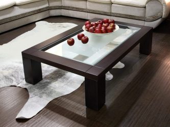 Waar moet je op letten bij het kiezen van een salontafel? 225+ (foto's) Opties uit hout, glas, op wielen